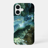 Tortue de mer sur la photo des fonds marins