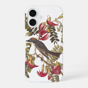 Coque iPhone 16 Tyrant gris Audubon oiseau sur arbre aux oiseaux-m