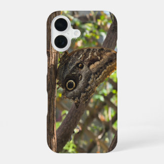 Coque iPhone 16 un beau papillon brun