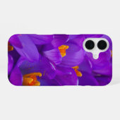 Coque iPhone 16 Un champ de crocus violets (Verso Horizontal)