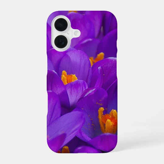 Coque iPhone 16 Un champ de crocus violets (Verso)