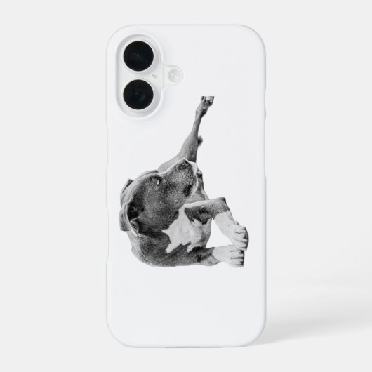 Coque iPhone 16 Vue d'automne (Verso)