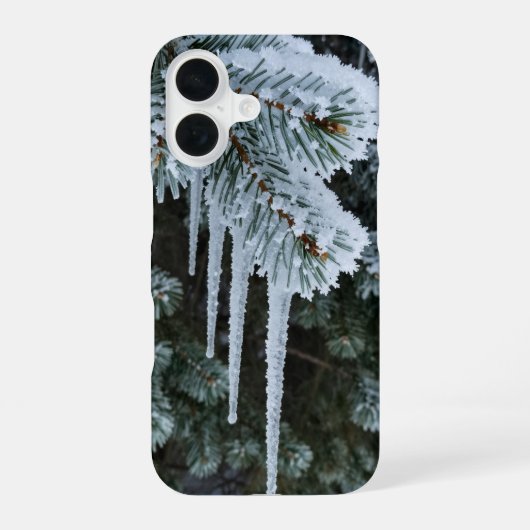 Coque iPhone 16 Winter Icicles Frosted Pine Branch Phone Case (Verso)
