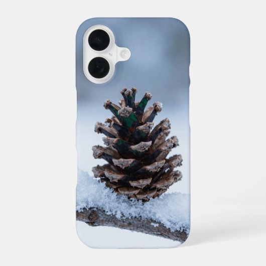 Coque iPhone 16 Winter Pine Cone Snowy Branch Phone Case (Verso)