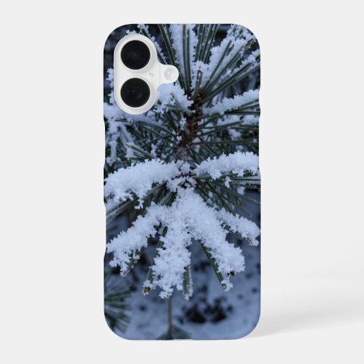 Coque iPhone 16 Winter Snow Pine Needles Macro Phone Case (Verso)
