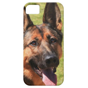 coque iphone 5 malinois coque iphone 5 malinois