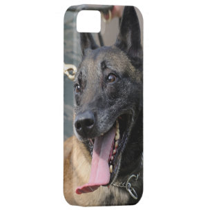 coque iphone 5 malinois coque iphone 5 malinois