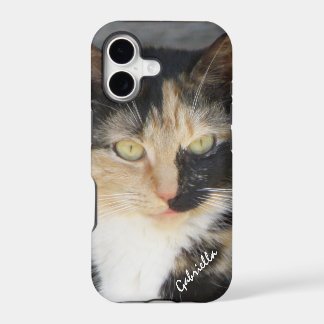 Coque iPhone 5 : chat calico personnalisé