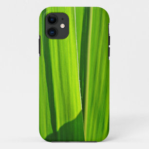 Coque iPhone 5 feuilles de maïs vertes