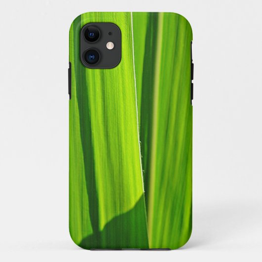 Coque iPhone 5 feuilles de maïs vertes (Dos)