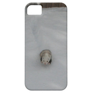 coque iphone 5 furet coque iphone 5 furet
