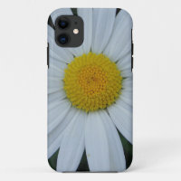 Coque iPhone 5 marguerite blanche