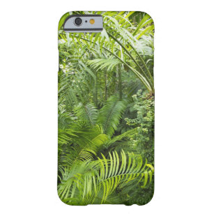 Coque iPhone 6 Barely There Forêt tropicale d'Amazone, Amazonie, Brésil 2
