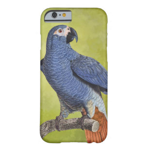 Coque iPhone 6 Barely There Illustration vintage de perroquet d'oiseaux