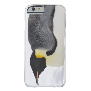 Coque iPhone 6 Barely There Pingouin d'empereur, île de colline de neige, mer