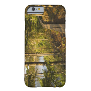Coque iPhone 6 Barely There Une promenade en bois dans le parc national Acadia