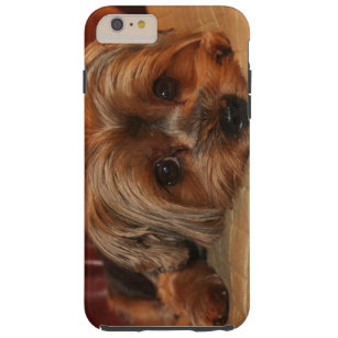 Coque iPhone 6 Plus Tough Chien mignon de Yorkshire Terrier