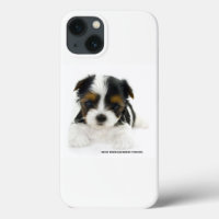 coque iPhone 8/7 - Biewer Terrier Puppy