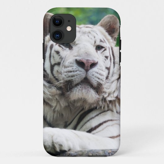 Coque iphone blanc de tigre (Dos)