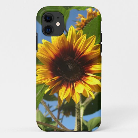 Coque iphone brillant de tournesol (Dos)