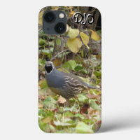 Coque iphone Californie Coque-Mate