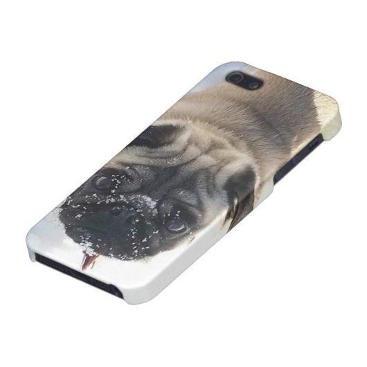 Coque iPhone Cas brillant de l'iPhone 5/5s de carlin de Milou (Bas)