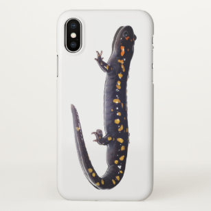 coque iphone 6 salamandre