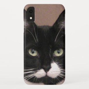 Coque iphone Cattitude