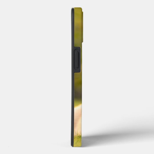 coque iphone Coque corgi-Mate (Verso / Droite)