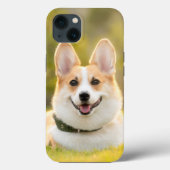 coque iphone Coque corgi-Mate (Verso)