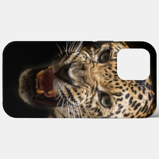 Coque iphone Coque Leopard (Verso (horizontal))