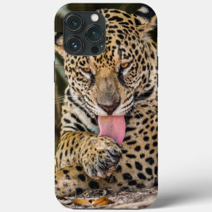Coque iphone Coque-Mate de Jaguar Cub