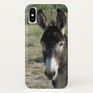 Coque iphone d'âne