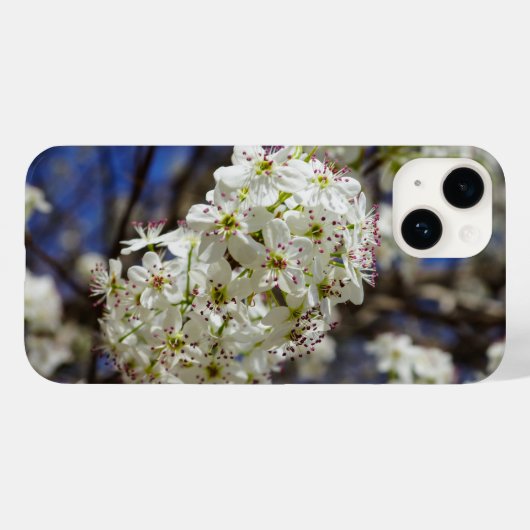 Coque iphone de Bradford Pear Blooms (Verso (horizontal))
