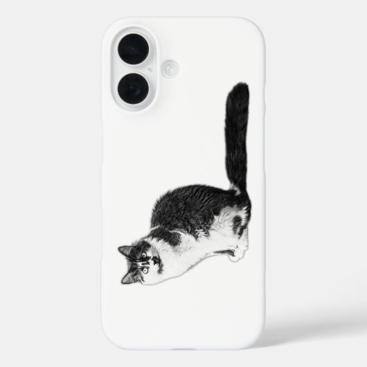 Coque iphone de chats modernes à long rayon (Verso)