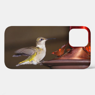 Coque iphone de colibri à gorge rubis