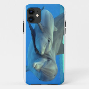 Coque iphone de dauphins