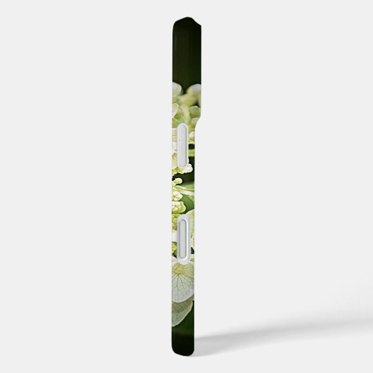 Coque iphone de fleurs d'Hydrangée blanche personn (Verso / Droite)