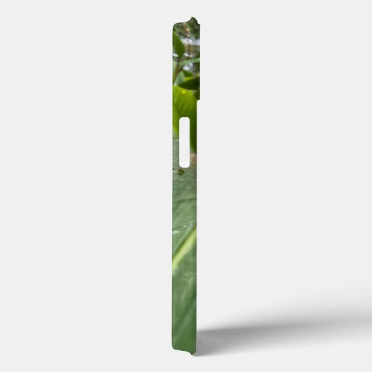 Coque iphone de fleurs tropicales d'Heliconia (Verso / Droite)