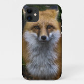 Coque iphone de Fox (Dos)