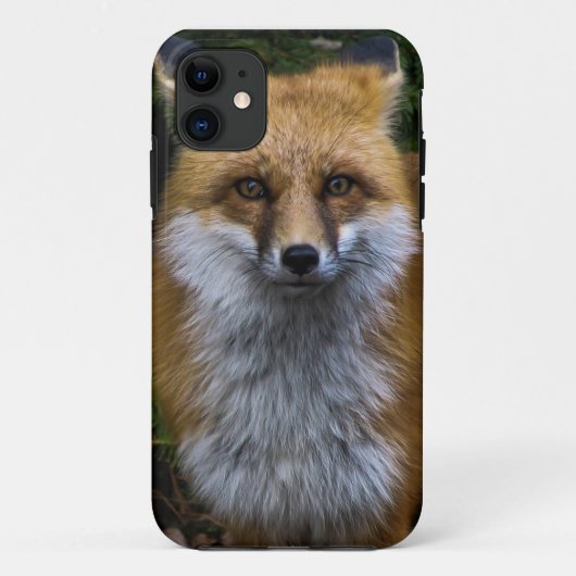Coque iphone de Fox (Dos)