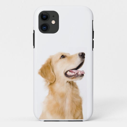 Coque iphone de golden retriever (Dos)