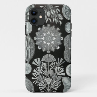 Coque iphone de Haeckel - Diatomea