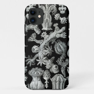 Coque iphone de Haeckel - Gorgonida