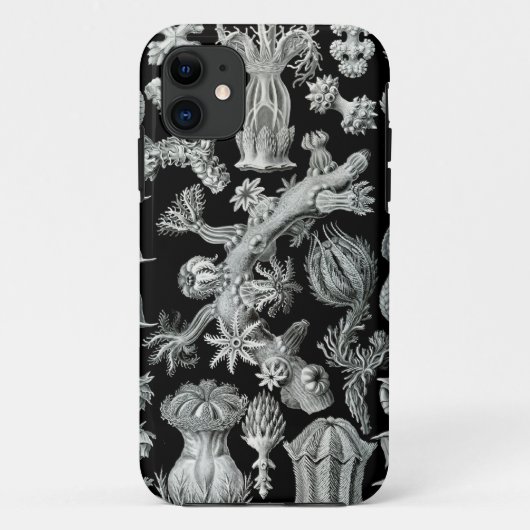 Coque iphone de Haeckel - Gorgonida (Dos)