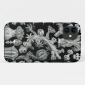 Coque iphone de Haeckel - Gorgonida (Dos (Horizontal))