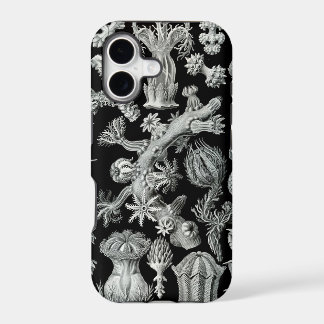 Coque iphone de Haeckel - Gorgonida