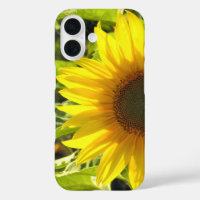Coque iphone de la lueur de tournesol