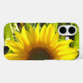 Coque iphone de la lueur de tournesol (Verso (horizontal))