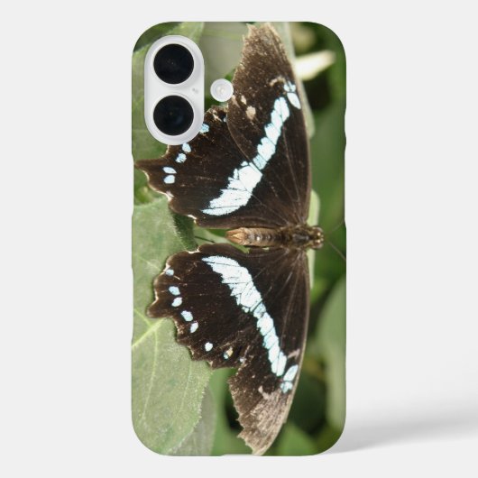 Coque iphone de papillon tropical noir et blanc (Verso)